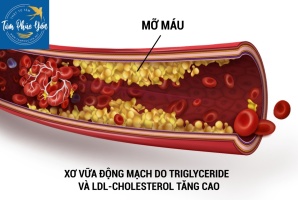 Những lợi ích mật ong mang lại cho con người là rất lớn. Ngày nay, mật ong không chỉ được dùng làm thực phẩm mà còn có giá trị dược liệu cao.
